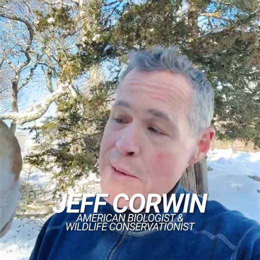 Hi, I’m Jeff Corwin! 🌍 For as long as I can remember, I’ve been passionate about wildlife and the great outdoors. That passion has taken me around the world, and now I want to share it with your little adventurer! The Jr. Ranger Competition is a once-in-a-lifetime opportunity for young explorers (ages 4-12) to connect with nature, learn about wildlife, and even win $20,000! 🏕️🐾 If your child loves animals, adventure, and the outdoors, this is the competition for them. Is your child the next J