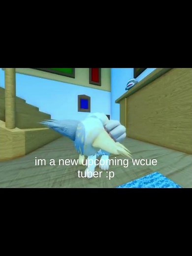 What’s up guys im 16 im the new player on the basketball team im really excited to play