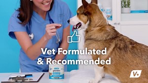 Vetnique Glandex Anal Gland Support Soft Chews, for All Dogs, Bacon Flavored, 120 Count