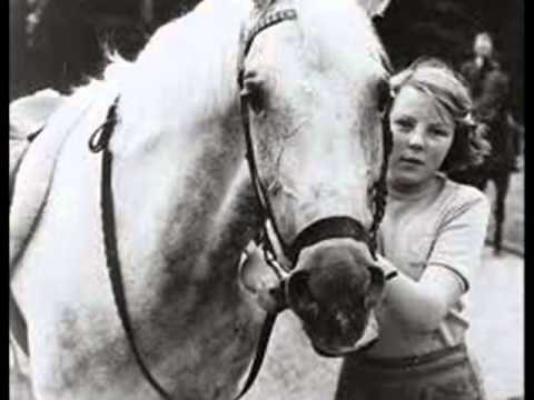 'La complainte du petit cheval blanc'