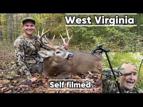 West Virginia Stud 12 point with a bow