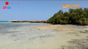 60K views · 627 reactions | ERi-TV, Eritrea - ጸጋታት ባሕርና፡ ሌላ ምስ ደሴት ዳህሬት | Eritrean island Dahriet | Denden Media | Facebook