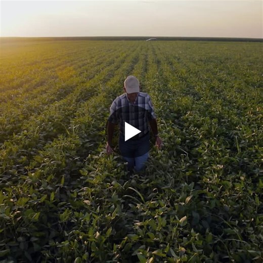 AI transforms agriculture with predictive crop intelligence and early risk sensing | TCS Retail and Consumer Goods posted on the topic | LinkedIn