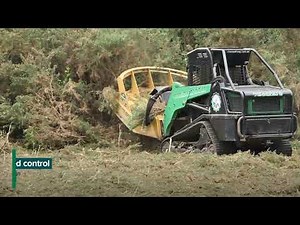 Tackling giant gorse infestation at Birdwood