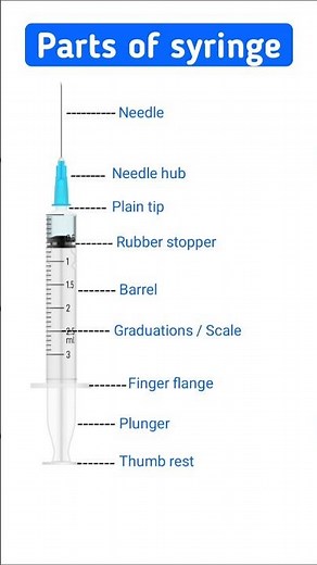 Syringe Parts Explained in Seconds! 💉👨‍⚕️ #syringe #SyringeParts #MedicalLearning