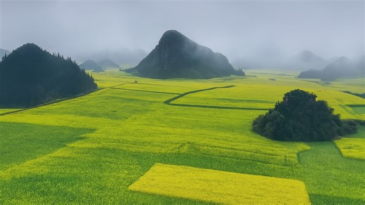 Canola Fields and Karst Hills, Luoping China in 4K