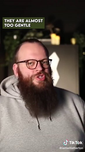 Great Dane as a Guard Dog #greatdane