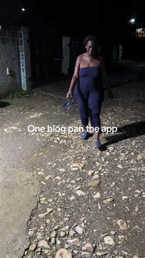 One blog pan the app