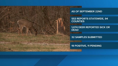 Viral illness killing deer spreads across 94 Kentucky counties