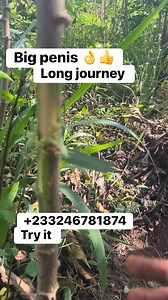 3.3K views · 41 reactions | Any problem call me 酪 | Real Agya Nsia | Facebook