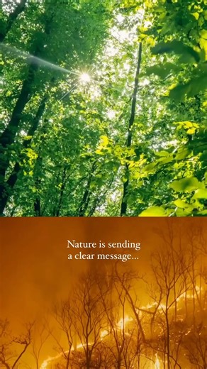 The science is clear: we need more ambitious #ClimateAction to protect our future and achieve a better world for everyone, everywhere. The climate emergency, pollution and biodiversity loss are driven by decades of unsustainable consumption and production — deepening inequalities and threatening humanity’s well-being. UN Environment Programme is leading efforts to halt and reverse nature loss, restore ecosystems and reduce the impacts of the climate crisis. | United Nations
