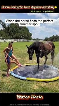 Happy horse enjoying the water✨#funnyhorse #horseplaywater