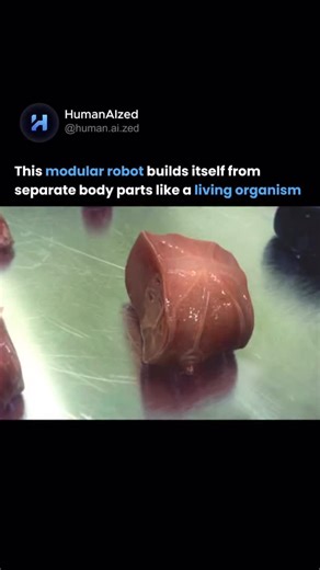HumanAIzed on Instagram: "This looks like a horror movie. But it’s actually a glimpse into the future of robotics 😳🤖 Meet Oscar - a modular robot designed for a sci-fi film experiment. But here’s the terrifying part: This tech is closer to reality than you think. Here’s how it works: → The robot isn’t built as one unit - it’s made of separate “organs” → Each module acts independently: brain core, muscle units, limb structures → They attach, detach, and reorganize themselves → As pieces connect