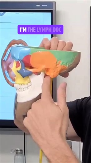 ᴘᴇʀʀʏ ɴɪᴄᴋᴇʟsᴛᴏɴ D.C. TᕼE ᒪYᗰᑭᕼ ᗪOᑕ on Instagram: "The Vagus nerve runs down the neck on both sides and takes a hit when the lymph is congested. Space behind the angle of the jaw is a banger powerhouse for the head, neck, brain. So much sits there. Including the Vagus nerve 1/3 of the 700 lymph nodes in the body are located from the neck up. That should tell you something. Spot number one and spot number two of the BIG 6 hit two of the biggest kink points of the vagus nerve Oh and spot four of t