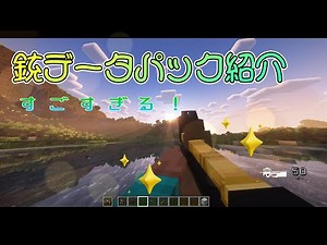 銃データパック紹介！