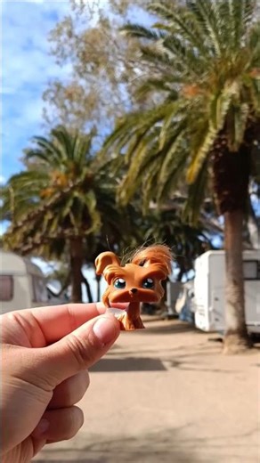 Camping trip with my Littlest Pet Shop! | LPS Travel clip #lps #lpstube #lpspopular #lpscommunity