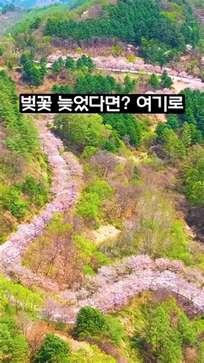 #틱톡여행 #국내여행 #핫플추천 #원주여행 #부귀리