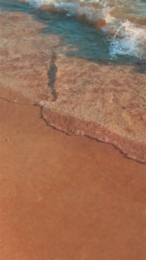 24K views · 81 reactions |  Get ready to groove, Hampton!  The...