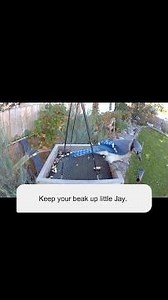 Sticks, Shells and ROCKS!