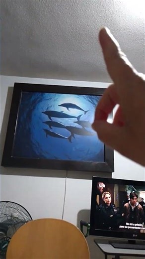 27 de diciembre de 2025