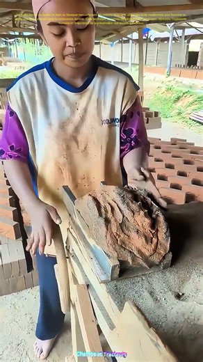 La main qui façonne la terre : Comment le savoir-faire ancestral crée des briques solides