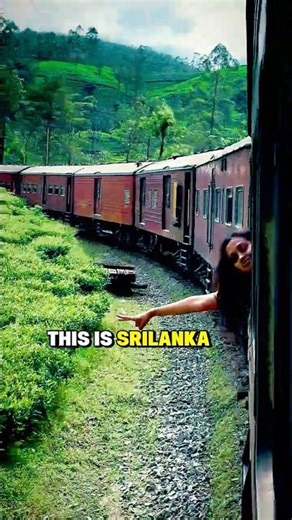 Is This the Most Beautiful Train Ride in the World? 🚆🌿#SriLanka #TrainJourney #travelshorts