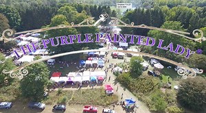 5.3K views · 134 reactions | What a huge success our festival was! If you were unable to attend, here is a little clip of what you missed. Thank you for those who did come...and thank you to the amazing artists. We raised almost $20,000 between the $1 entrance, parking, raffle and chicken BBQ for local charities and volunteer organizations. That money will do an incredible amount of good! XO ~ The Purple Painted Lady® | The Purple Painted Lady | Facebook