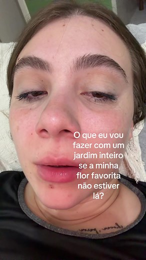 O Pequeno Príncipe e a rosa: um jardim de amor