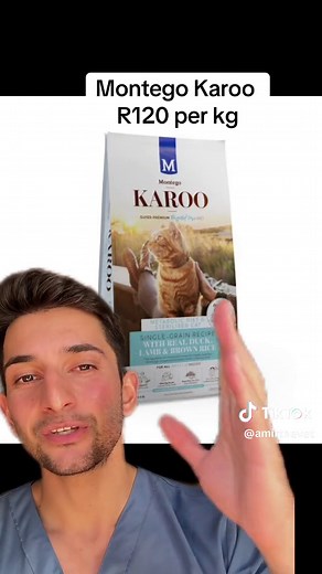 4 Affordable and High-Quality Cat Foods for Feeding Your Cat