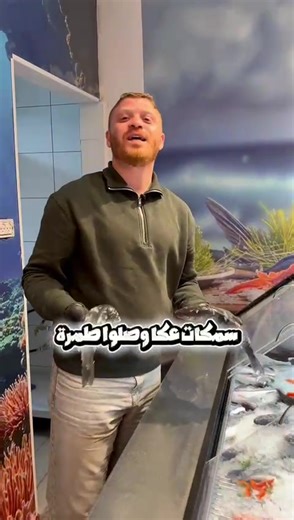 ⸻ 🚨 طمرة اسمعي الخبر! 🚨 مطعم ومسمكة المرجان فتحوا رسميًا 🔥🐟 الانتظار خلِص… والبحر وصل لعندكم 🌊 🛥️ سمكات عكّا اليوم بطمرة طزاجة، طعم، وأسعار بتخلّي الواحد يرجع 💥 يا أهل طمرة والمنطقة أهلاً وسهلاً فيكم الدار داركم 👋 📍 مطعم ومسمكة المرجان – طمرة تعوا جرّبوا… والباقي علينا #اسماك #طمرة #tiktok #fyp #cupcut
