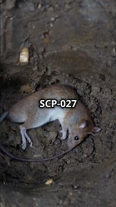 SCP 027 The Vermin God That Won’t Let You Escape #scpresearcher #facts #horrorstories