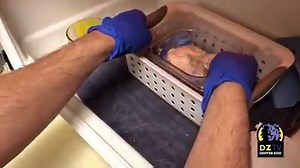 65K views · 4.5K reactions | Baby update! We’re so excited to share...