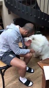 Aprendendo a orar 🙏🏽😂 #ForeverDogTraining Forever Dog Training | Lucas Moura