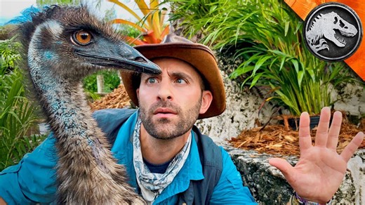 Training With Raptors