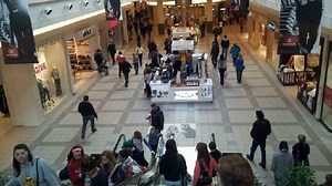 Christmas shoppers spend less