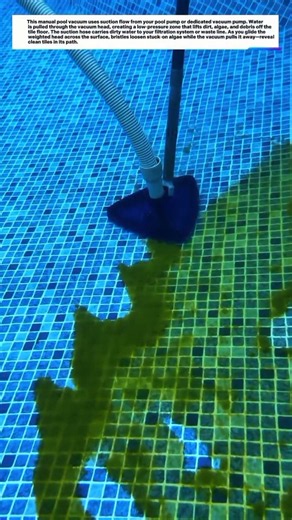 Watch Algae Disappear! Pool Vacuum Cleans Floor Instantly 🏊✨