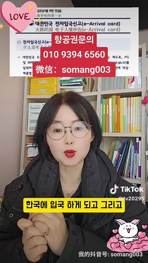 전자입국신고서, 쉬운 한국 입국 절차