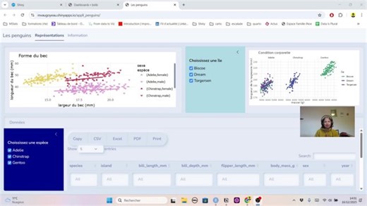 Réaliser une appli avec {shiny} et {bslib}