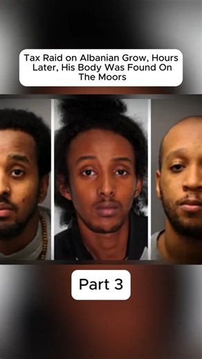 Documentary Shorts Hub on Reels