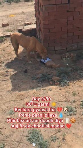 36°C ki garmi… aur woh sirf ek boond paani ke liye tadap raha tha…