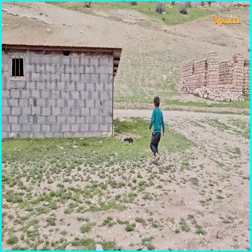 9.8K views · 60 reactions | the incredible transformation of a homeless individual as they rise from adversity to achieve amazing things. This story of resilience will inspire you to believe in the power of change! #villagelife #nomadic #nomadiclifestyles #nomadiclife #village #nomadic #family #female | Nomad Life 168 | Facebook