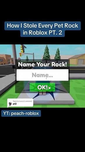 How to Collect Every Pet Rock in Roblox