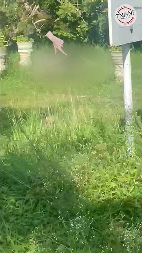 Cashew Gardens: The Deadly Shooting #crime #truecrimecommunity #trinidadcrime #ttps #trinidadnews