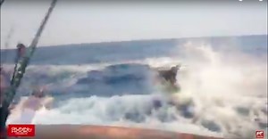 A really pissed off marlin charges a boat and gets real close to killing a fisherman. Scary.