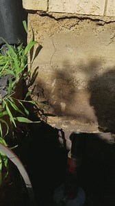 Professional foundation repair services 🏡 Free inspections, call now 🤳 214-405-4306 Would your house pass the #PressureChallenge ? 🏋️‍♂️🏋️‍♀️✔ | IFIX Construction