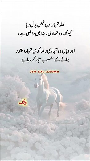 Beautiful Words #islamicvideo #islamicshorts #islamicreminder #muslimcontent #shortsfeed #shorts