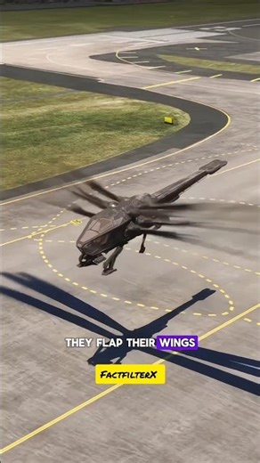 Why Ornithopter Don't Exist In Real Life 😲| #facts