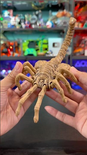 52Toys ALIEN Facehugger & Egg Wind-up Toys Unboxing #alien #facehugger #52toys