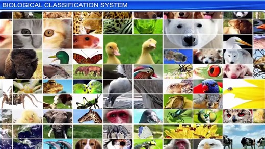 1. Biological classification system
