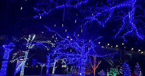 Wild Winter Lights returns to Cleveland Metroparks Zoo for fifth year